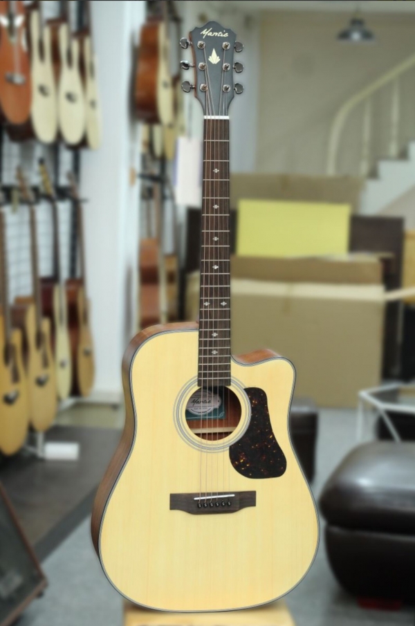 Đàn guitar Mantic AG370CE
