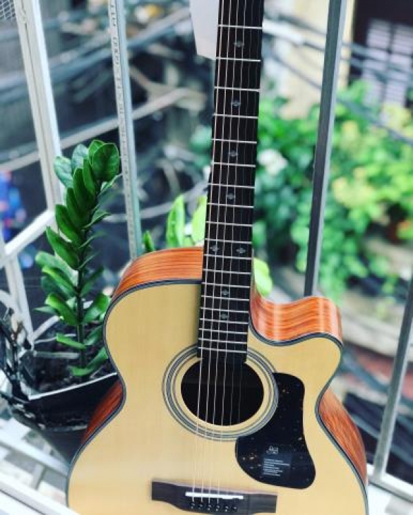 Đàn guitar Mantic AG370C