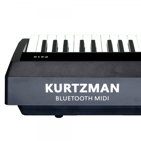 Piano Điện Kurtzman P215 màu đen