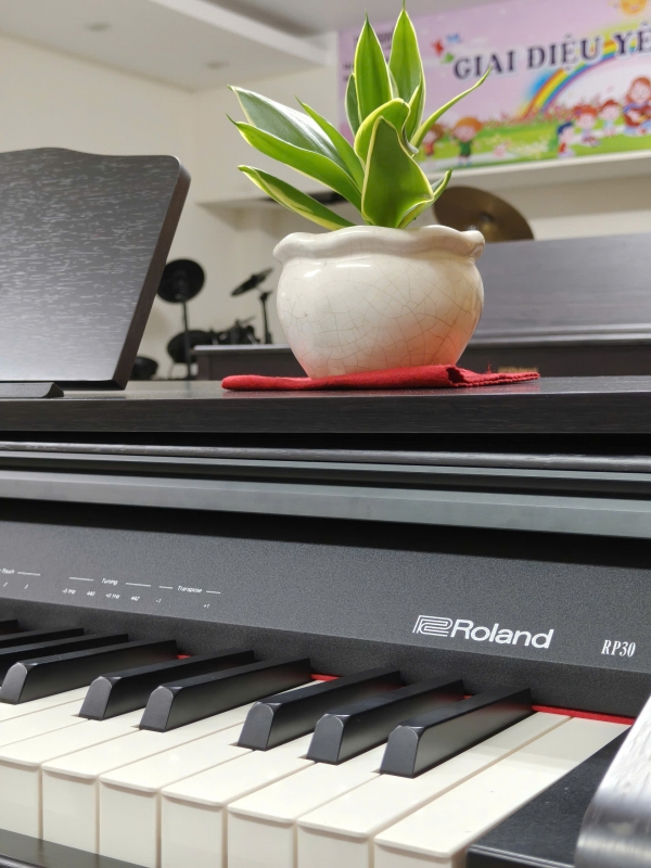 Đàn Piano Điện Roland RP-30
