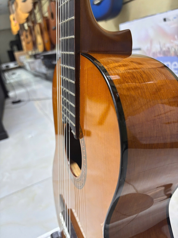 Guitar Classic Yamaha CGS102A
