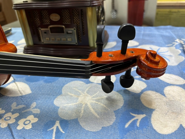 Violin Kapok V-10