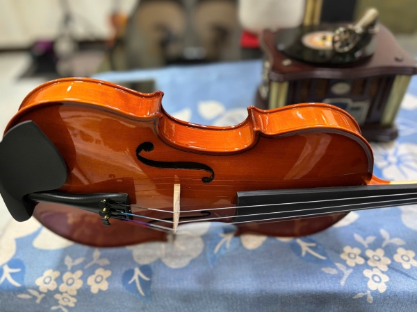 Violin Kapok V-10