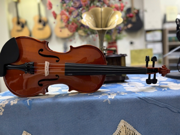 Violin Kapok V-10