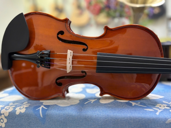 Violin Kapok V-10