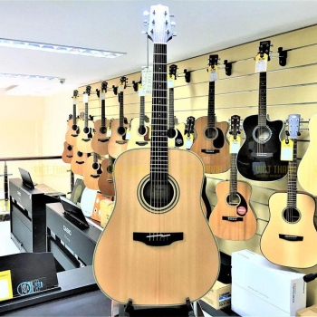  Takamine GD20-NS