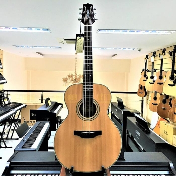  Takamine GN20 NS