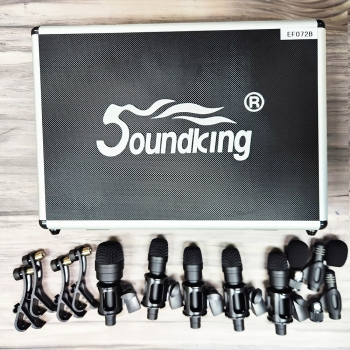  Bộ micro Soundking EF072B