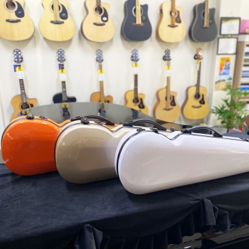  Hộp đựng đàn violin