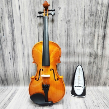  Violin Acutis AYV3006