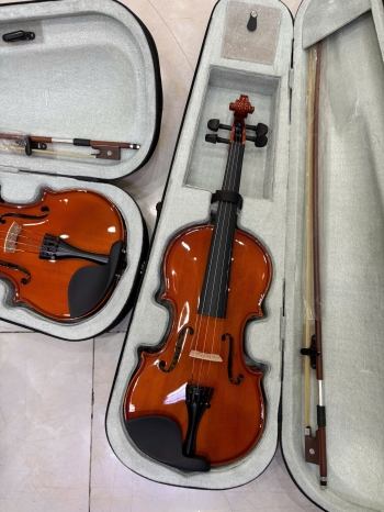  Violin Kapok V-10