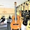 Guitars Cordoba C1