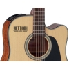 Takamine GD15CE-NAT