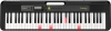 Casiotone LK-S250
