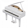 Đàn piano điện Roland GP-6PW