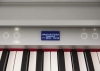 Đàn piano điện Roland GP-6PW