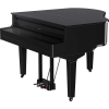 Đàn piano điện Roland GP-9M-PE