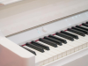 Đàn piano điện Roland GP-9M-PW