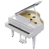 Đàn piano điện Roland GP-9M-PW