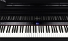 Đàn piano điện Roland GP-9PE