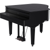 Đàn piano điện Roland GP-9PE