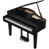 Đàn piano điện Roland GP-6PE