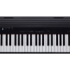 Roland Go-88P