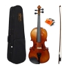 Violin Omebo RV205