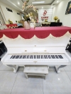 Đàn piano Horugel U6