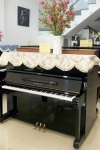 Đàn Piano Kawai BL12