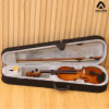Violin Acutis AHV3003 size 4/4