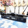 Micro không dây Soundking W95R-TH