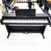 Đàn piano điện Roland RP107