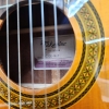 Takamine GC3CE