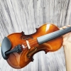 Violin Acutis AYV3005