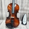 Violin Acutis AYV3005