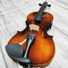 Violin Acutis AYV3005