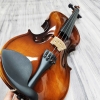 Violin Acutis AYV3005