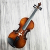 Violin Acutis AYV3005