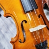 Violin Acutis AYV3006