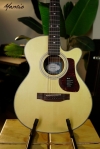 Đàn guitar Mantic AG370C
