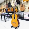 Guitar Classic Saga C1