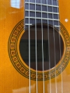 Guitar Classic Yamaha CGS102A